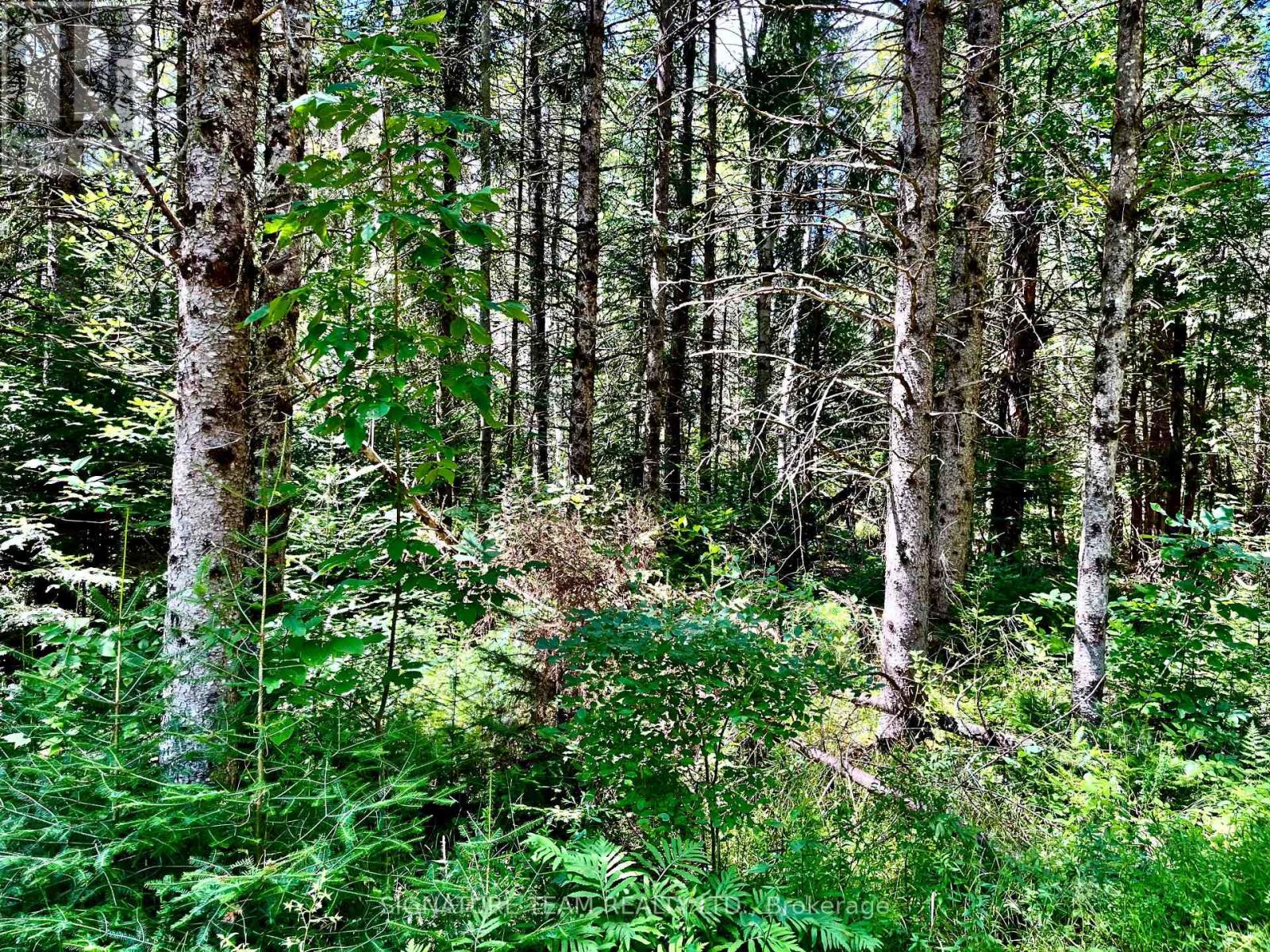 174 Budd Road, Bonnechere Valley, Ontario  K0J 1T0 - Photo 40 - X12475781