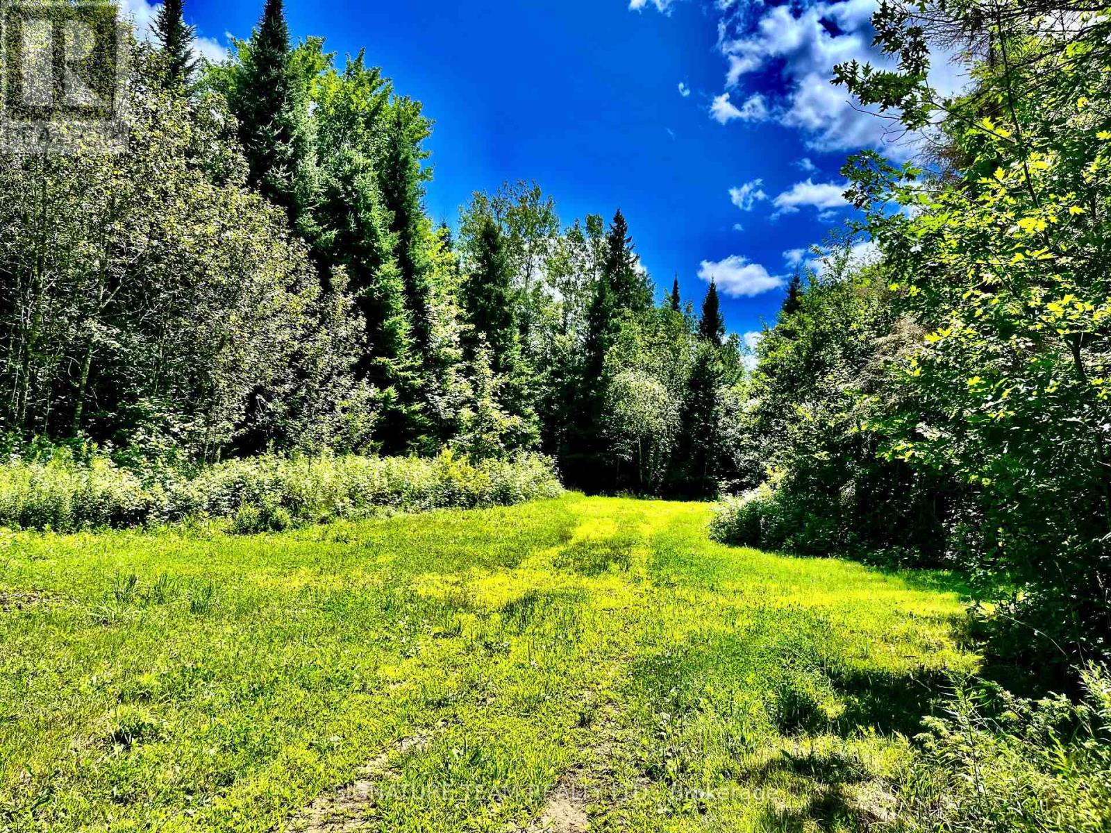 174 Budd Road, Bonnechere Valley, Ontario  K0J 1T0 - Photo 41 - X12475781