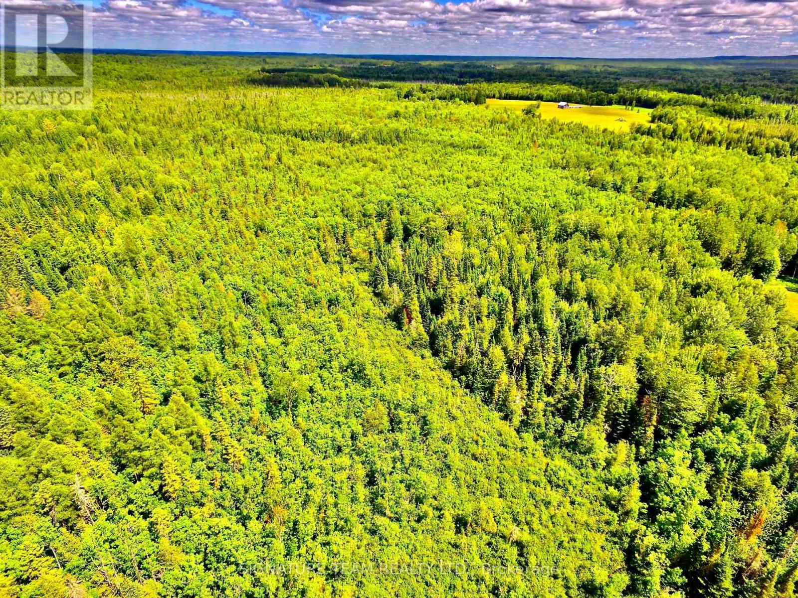 174 Budd Road, Bonnechere Valley, Ontario  K0J 1T0 - Photo 8 - X12475781