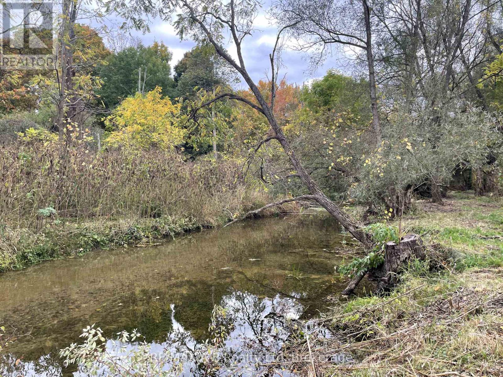 12096 Gale Road, North Middlesex, Ontario  N0M 1A0 - Photo 42 - X12451520