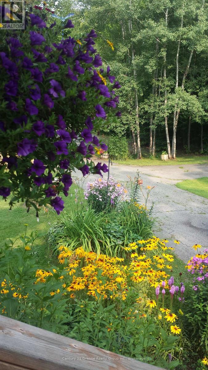 1046 Lutterworth Pines Road E, Minden Hills (Lutterworth), Ontario  K0M 2K0 - Photo 13 - X12475906