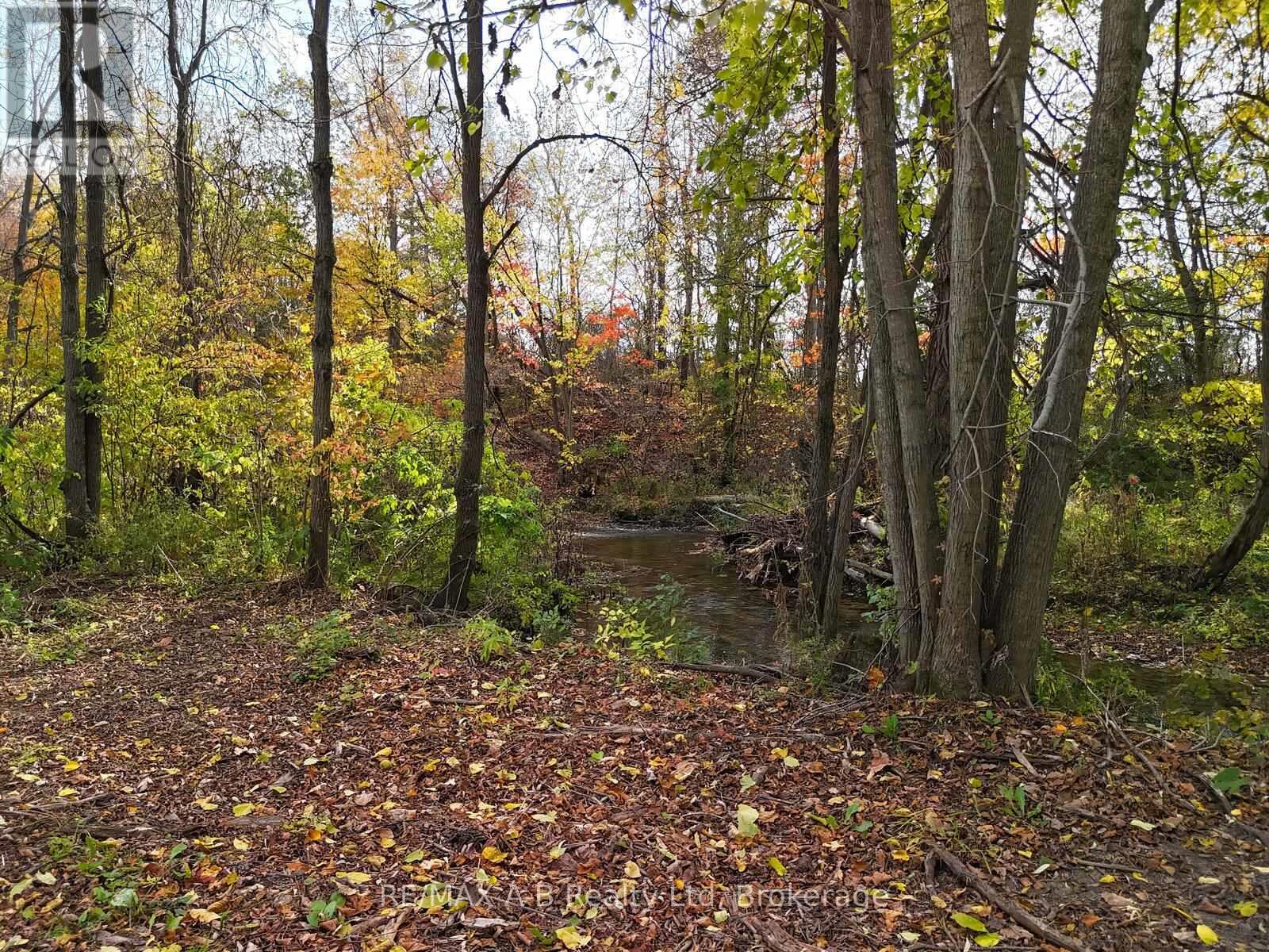 12096 Gale Road, North Middlesex, Ontario  N0M 1A0 - Photo 47 - X12451520