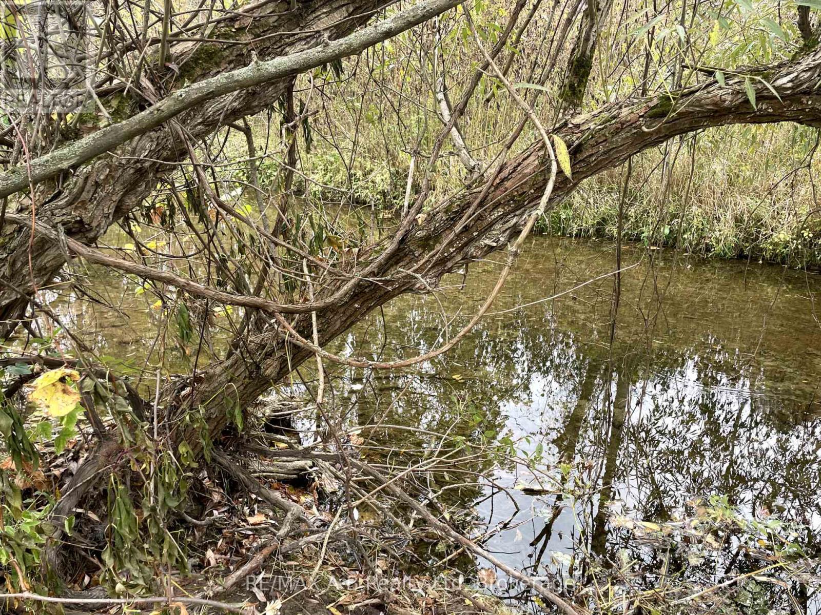 12096 Gale Road, North Middlesex, Ontario  N0M 1A0 - Photo 43 - X12451520