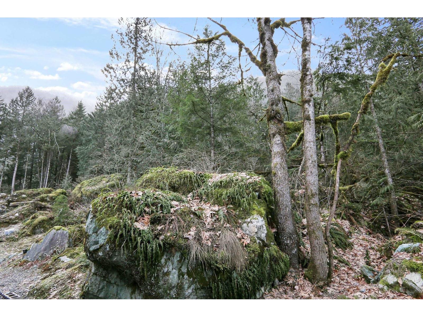 74 53480 Bridal Falls Road, Bridal Falls, Chilliwack, British Columbia  V0X 1X1 - Photo 40 - R3060692