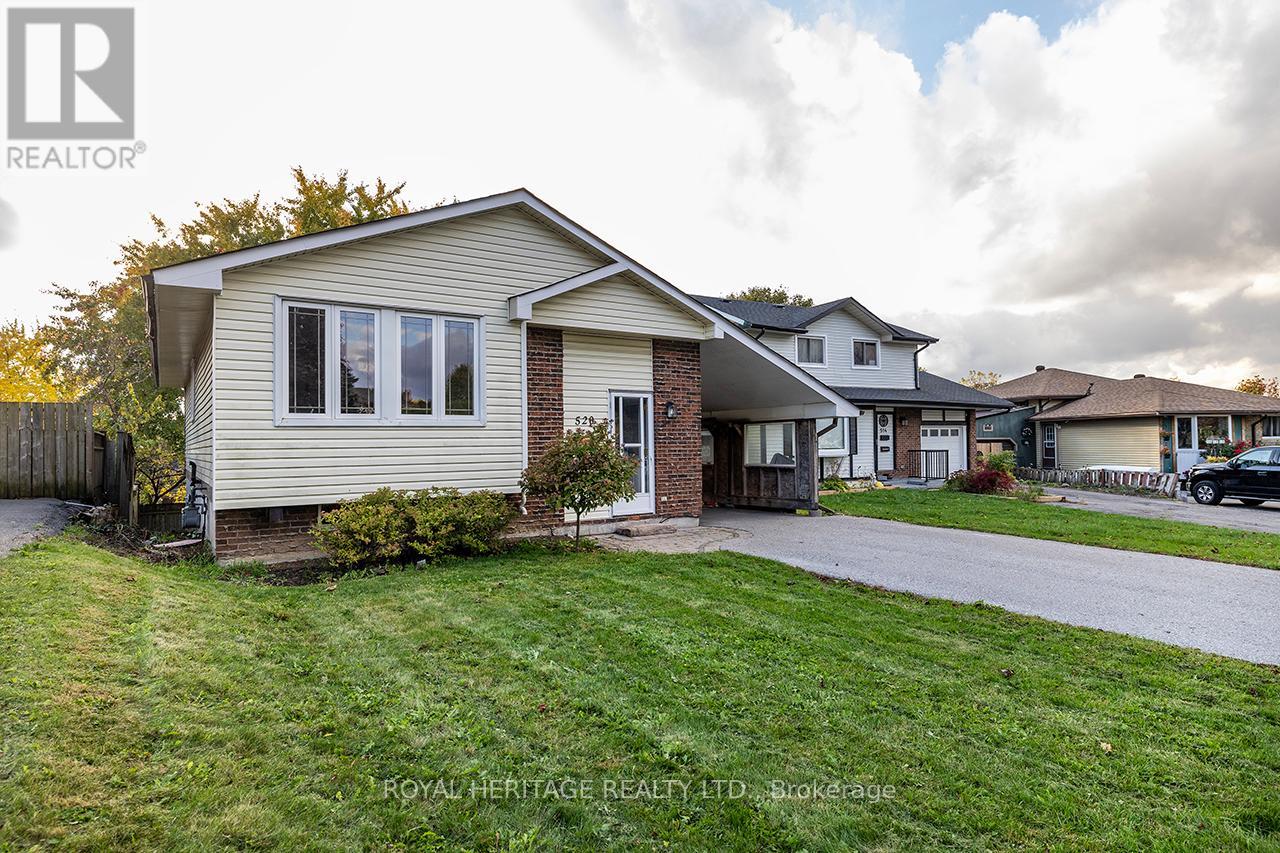 Basement - 520 Capilano (Basement) Court, Oshawa, Ontario  L1H 7T9 - Photo 2 - E12475889