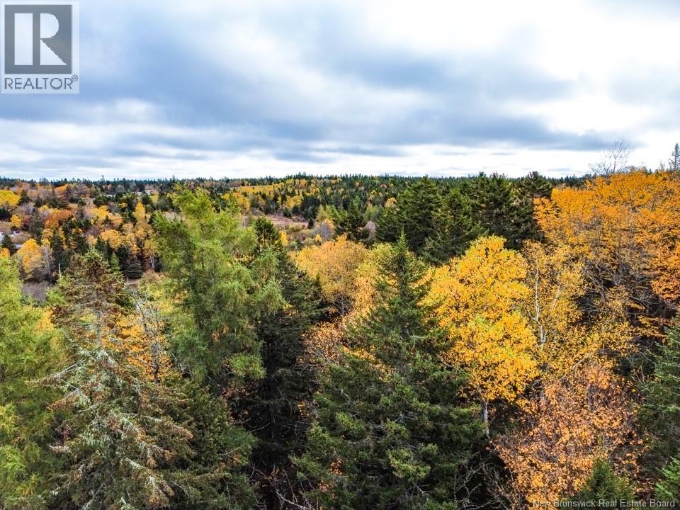 2 Upper Golden Grove, Upper Golden Grove, New Brunswick  E2S 2X8 - Photo 4 - NB128971