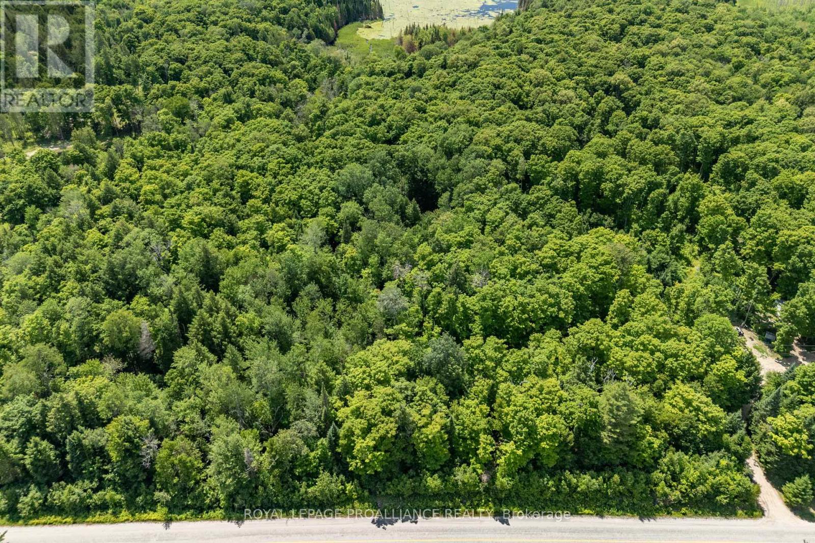 0 Buckshot Lake Road, North Frontenac, Ontario K0H 2M0 - Photo 8 - X12298222