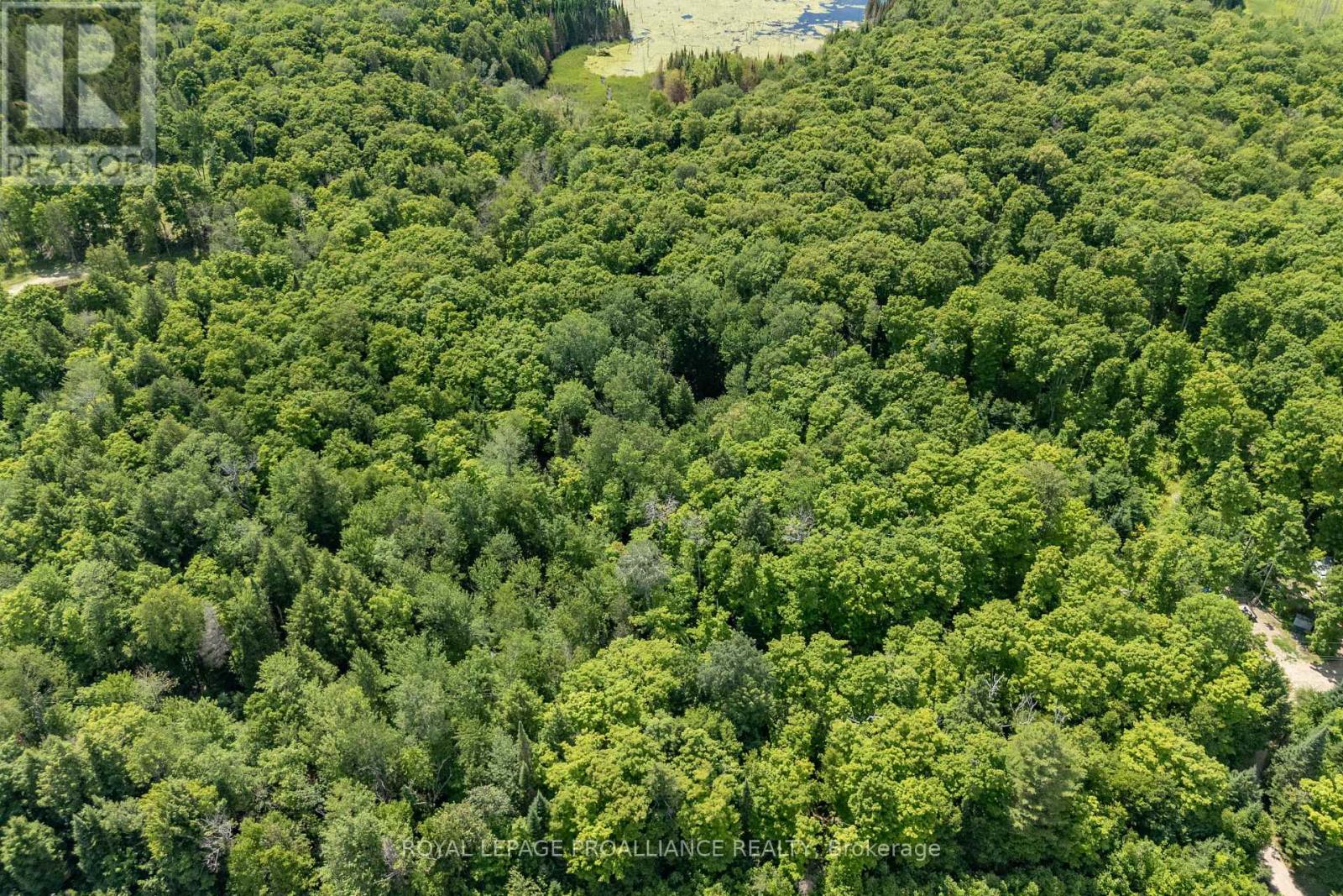 0 Buckshot Lake Road, North Frontenac, Ontario K0H 2M0 - Photo 6 - X12298222