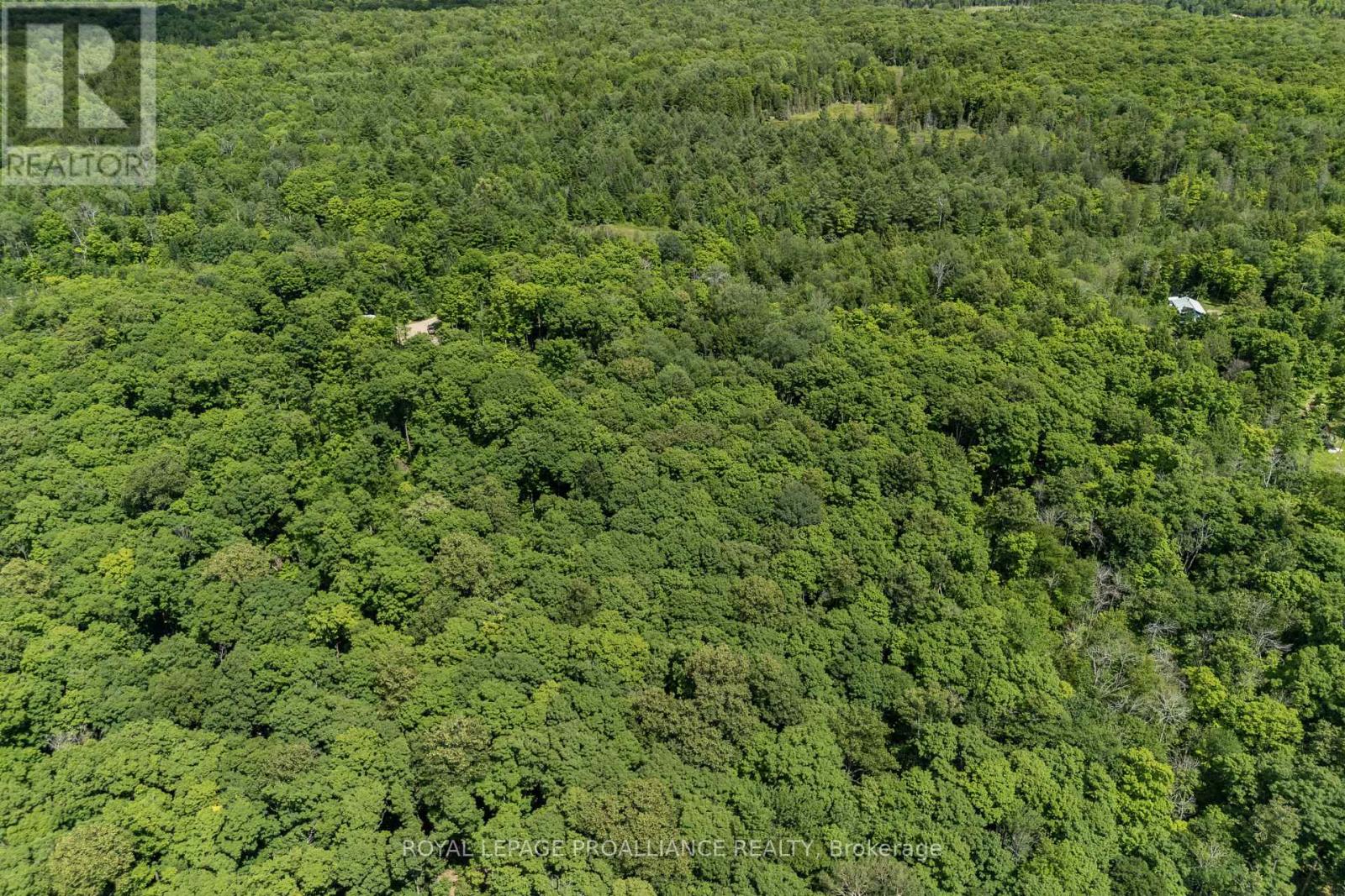 0 Buckshot Lake Road, North Frontenac, Ontario K0H 2M0 - Photo 11 - X12298222