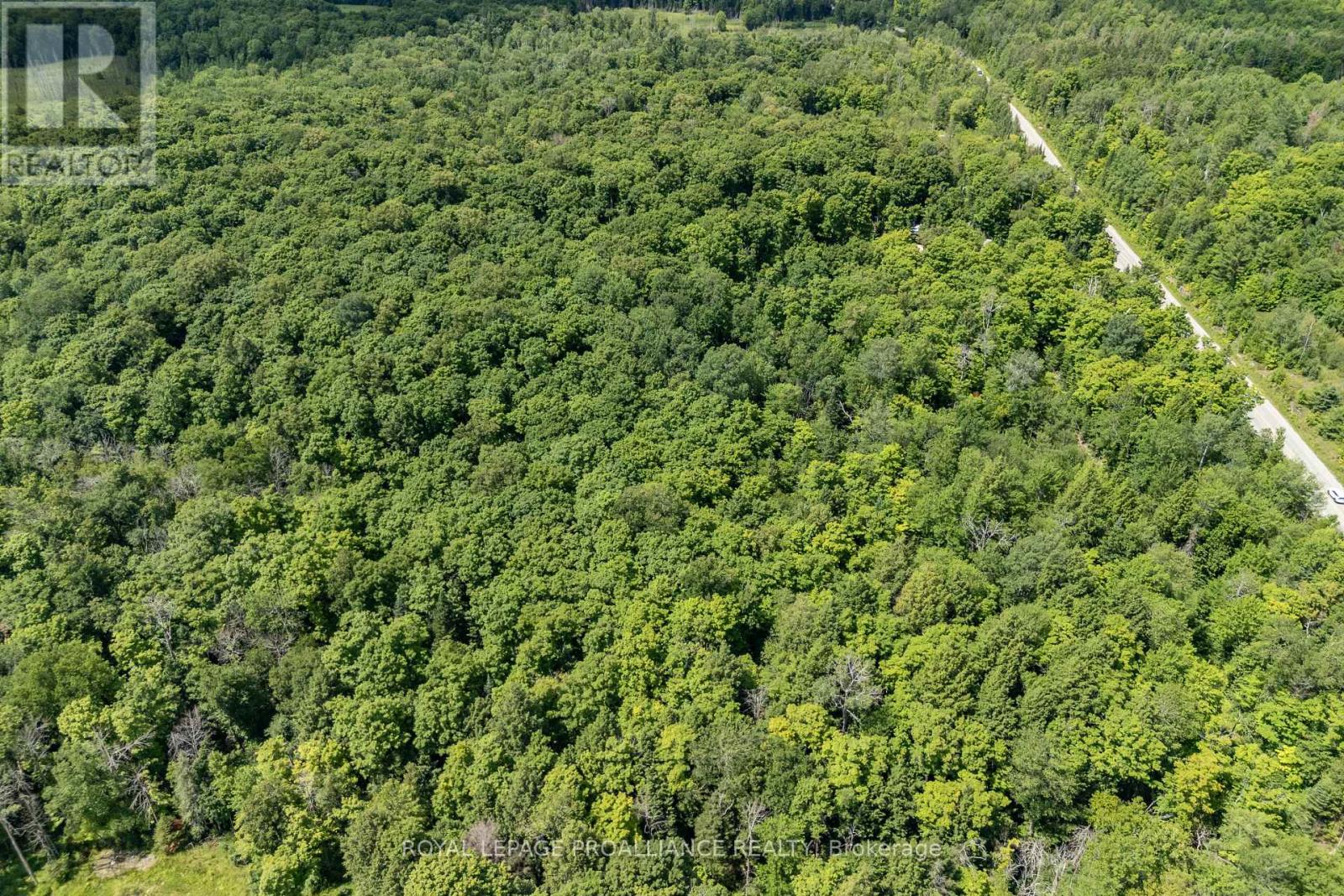 0 Buckshot Lake Road, North Frontenac, Ontario K0H 2M0 - Photo 15 - X12298222