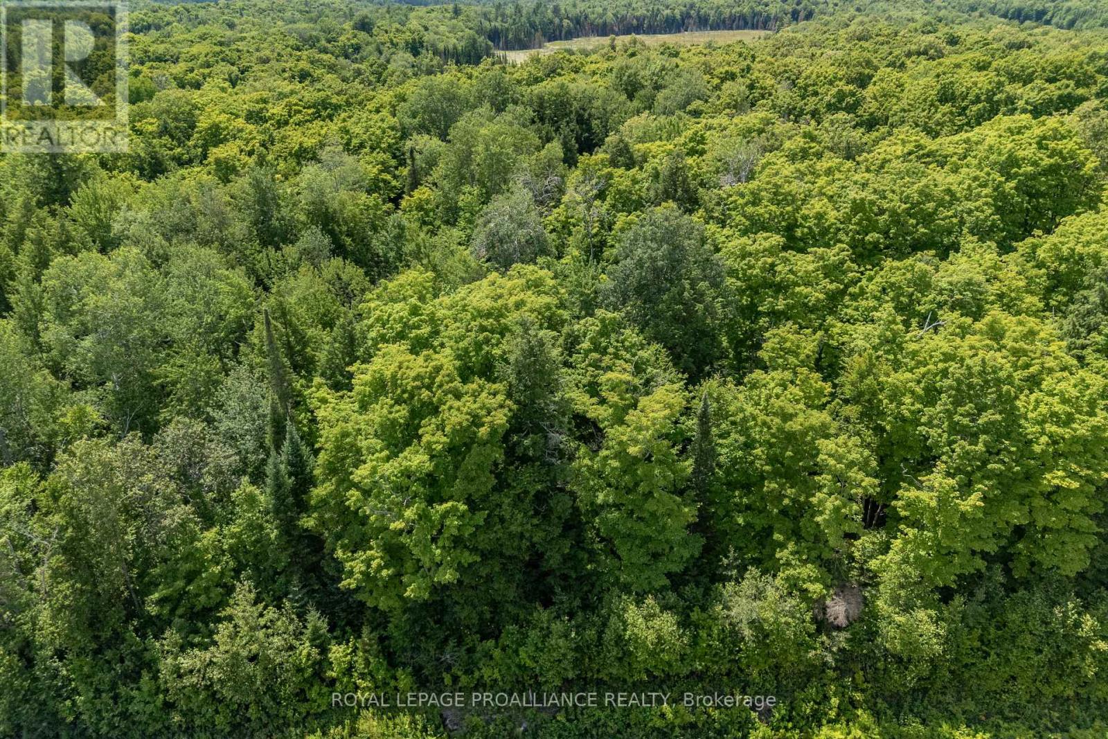 0 Buckshot Lake Road, North Frontenac, Ontario K0H 2M0 - Photo 5 - X12298222