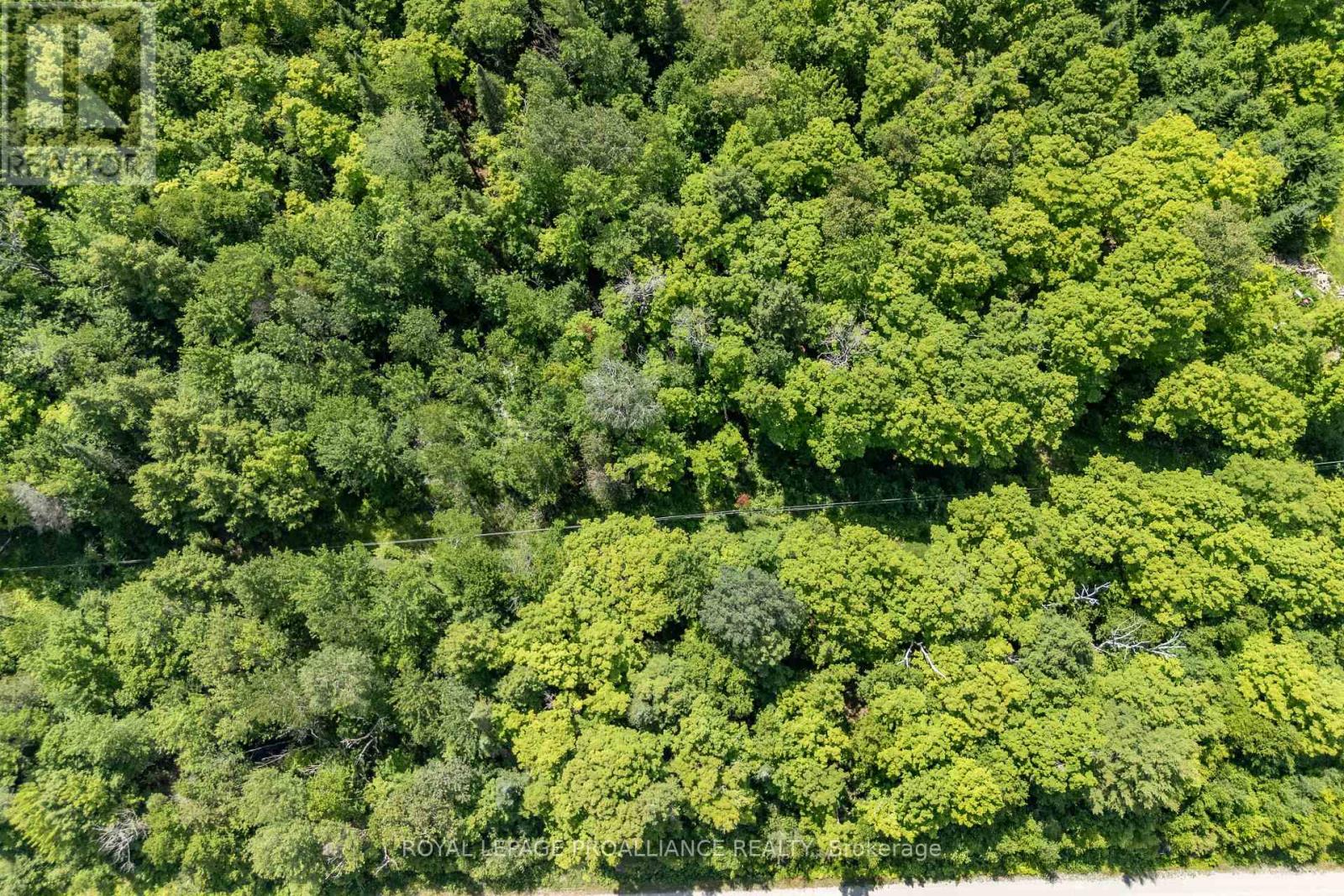 0 Buckshot Lake Road, North Frontenac, Ontario K0H 2M0 - Photo 9 - X12298222