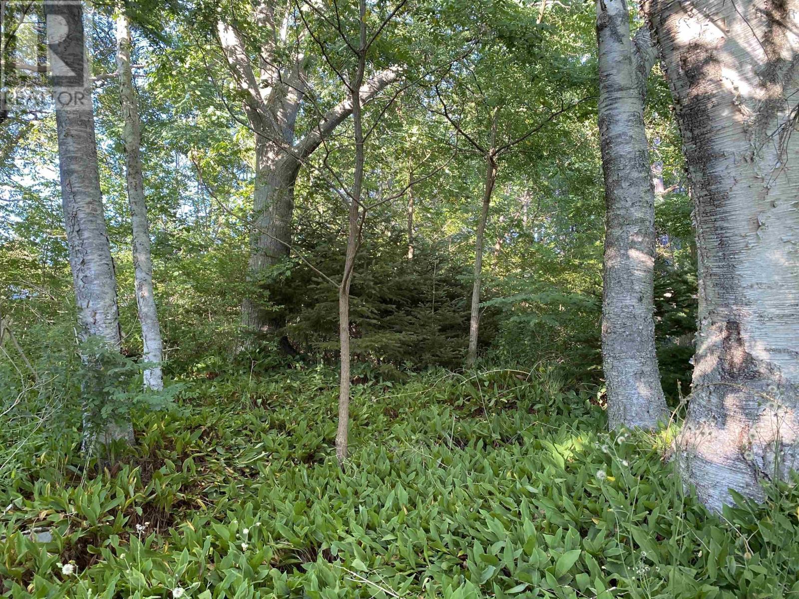 Lot Pid#70088364 Hillside Road, Brooklyn, Nova Scotia  B0J 1H0 - Photo 6 - 202520741