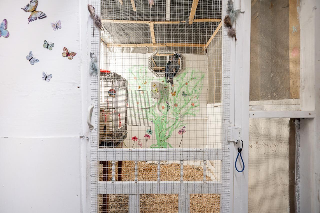 1 46430 First Avenue, Chilliwack Proper East, Chilliwack, British Columbia V2P 1W9 - Photo 17 - R3059711