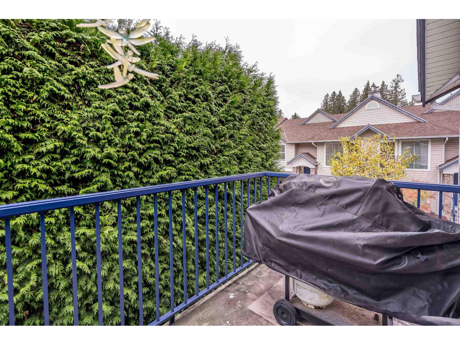 26 8716 Walnut Grove Drive, Langley, British Columbia  V1M 2K2 - Photo 30 - R3060776