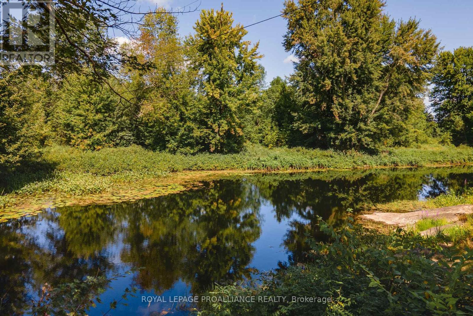 0 Courneya Part 2 & 3 Road, Tweed, Ontario K0K 3J0 - Photo 16 - X12142269