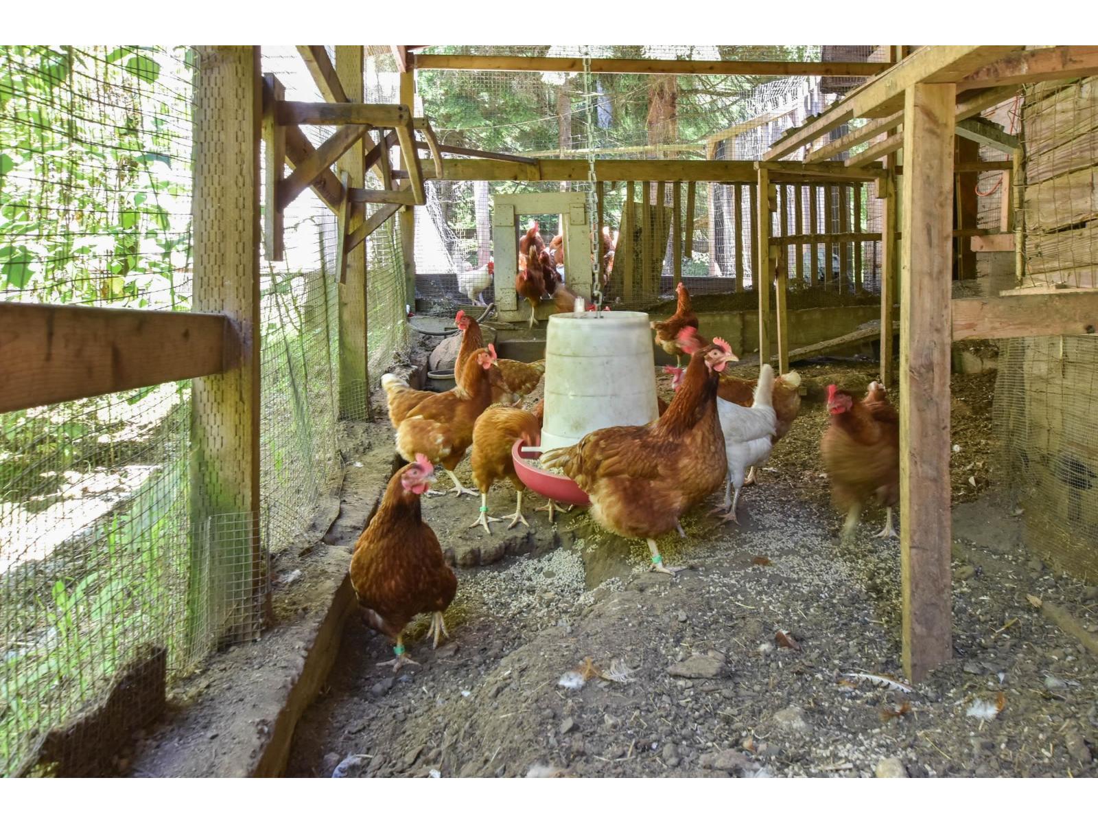 9921 Watt Street, Mission, British Columbia  V2V 0B6 - Photo 38 - R3040540