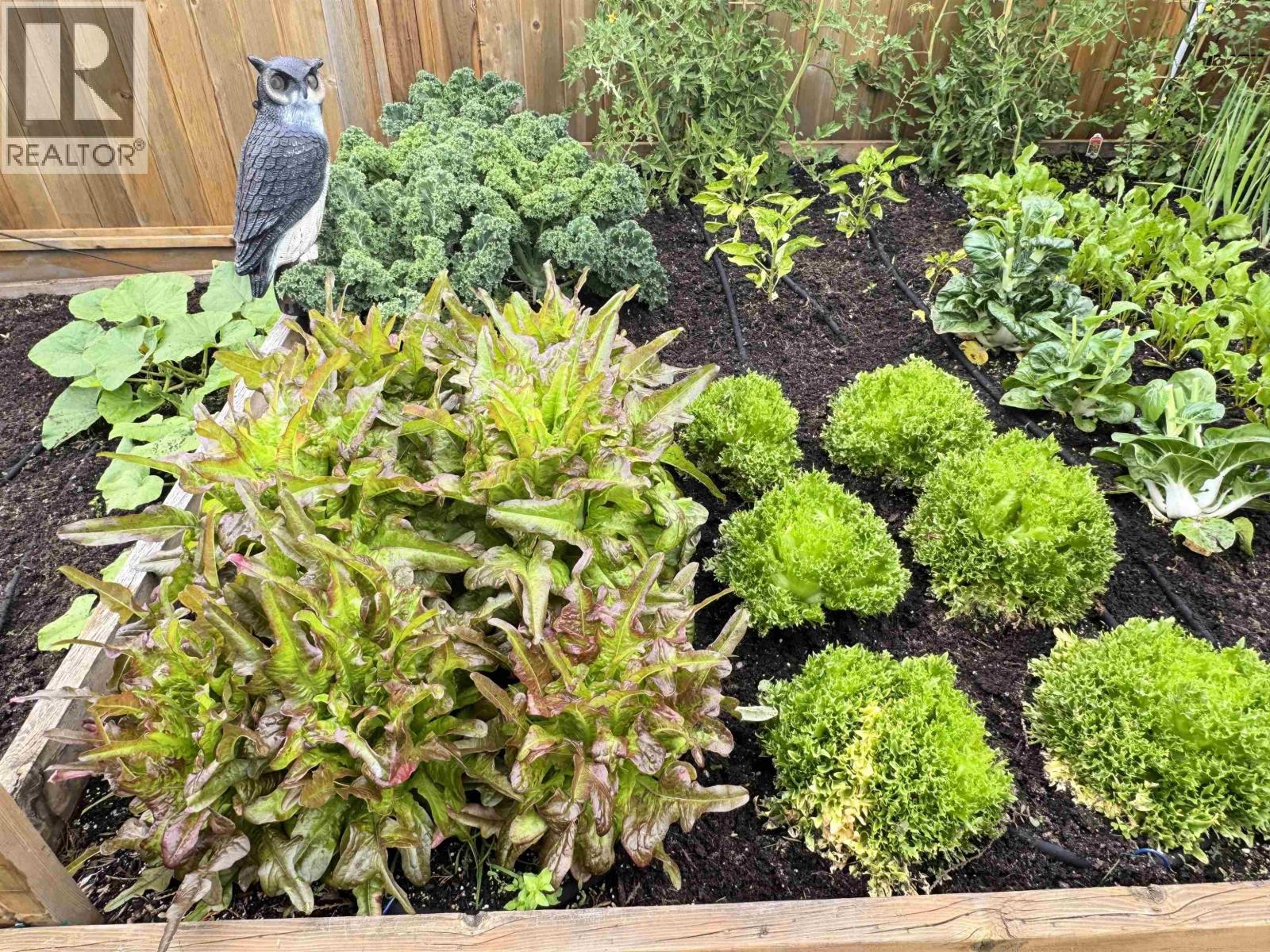 12437 202 Street, Maple Ridge, British Columbia  V2X 4T3 - Photo 21 - R3023918