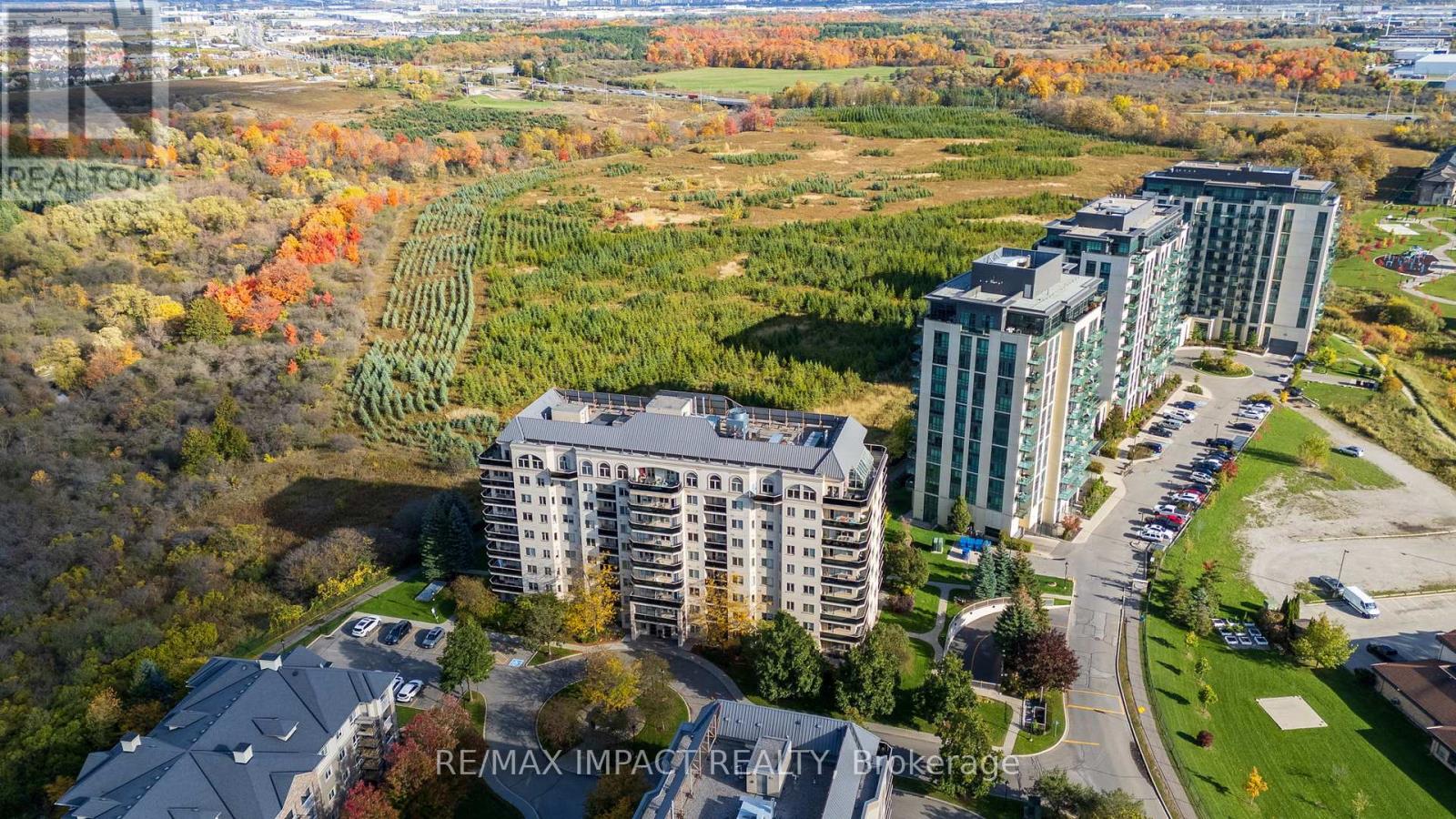 204 - 10 Dayspring Circle, Brampton (Goreway Drive Corridor), Ontario  L6P 1B9 - Photo 26 - W12475701
