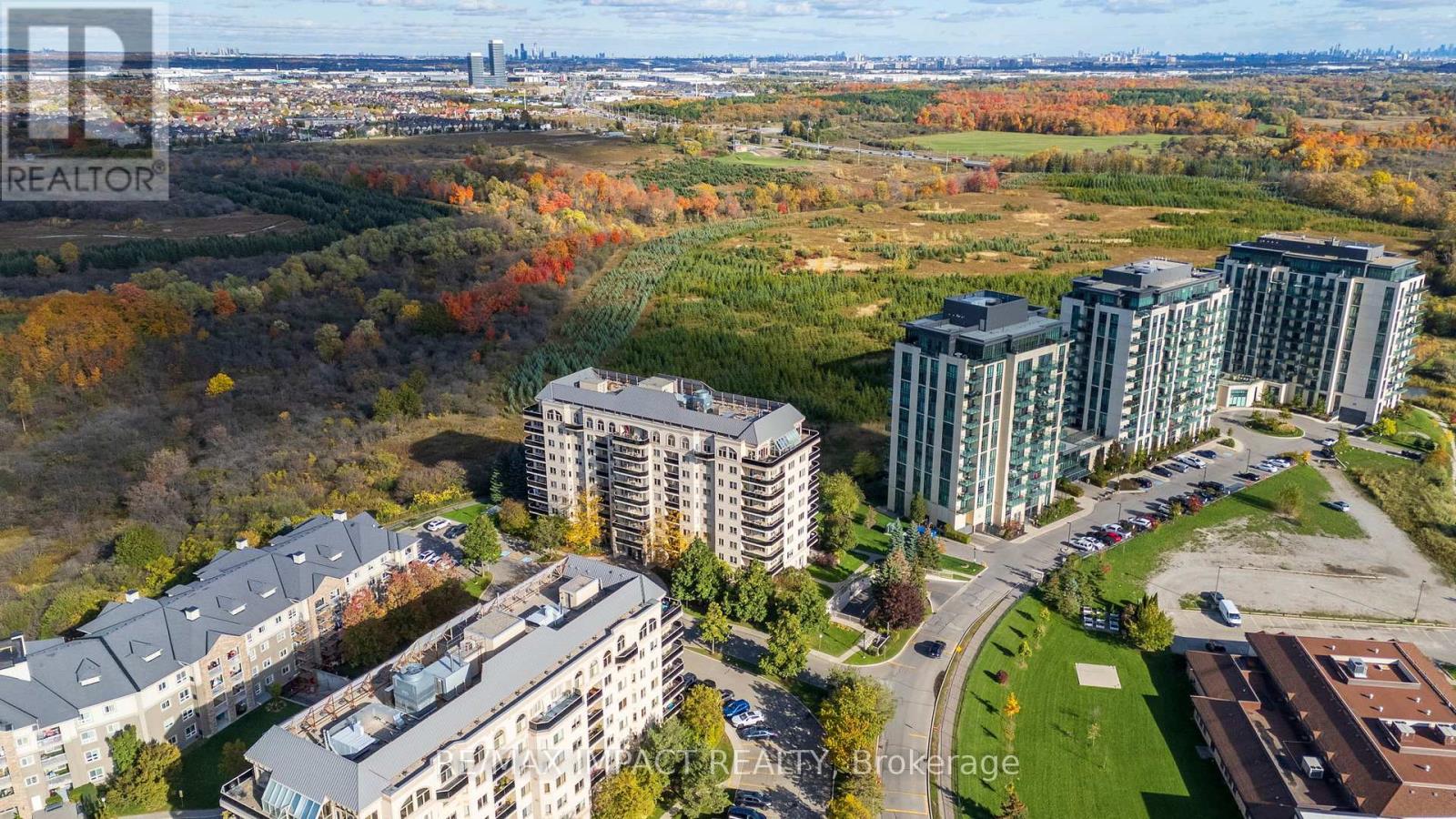 204 - 10 Dayspring Circle, Brampton (Goreway Drive Corridor), Ontario  L6P 1B9 - Photo 24 - W12475701