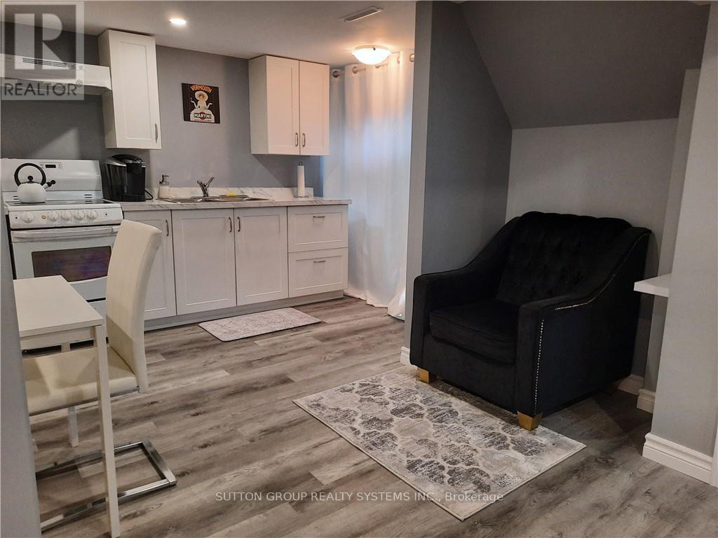 Basement - 6 Northwood Drive, St. Catharines, Ontario  L2M 4J6 - Photo 9 - X12475917