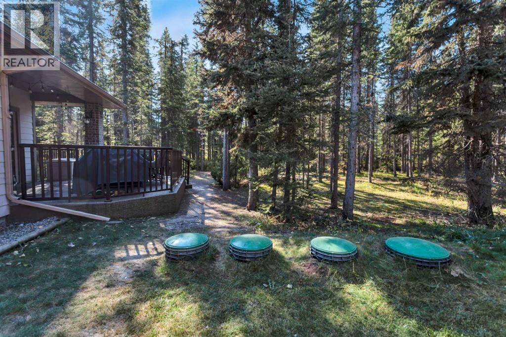 20, 4147 Highway 587, Rural Mountain View County, Alberta  T0M 0K0 - Photo 45 - A2260136