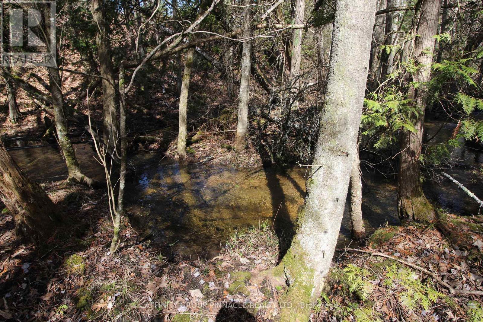 Lot 15 Concession 9, Trent Lakes, Ontario K0L 1J0 - Photo 10 - X12476268