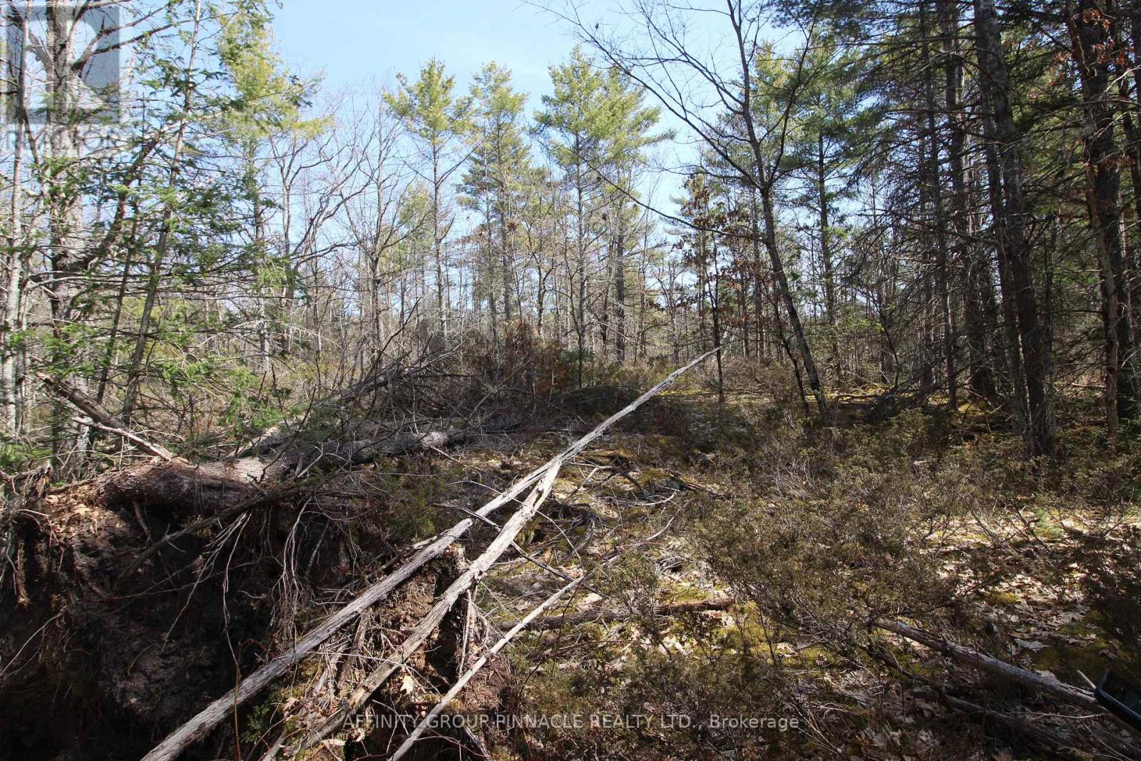 Lot 15 Concession 9, Trent Lakes, Ontario K0L 1J0 - Photo 13 - X12476268