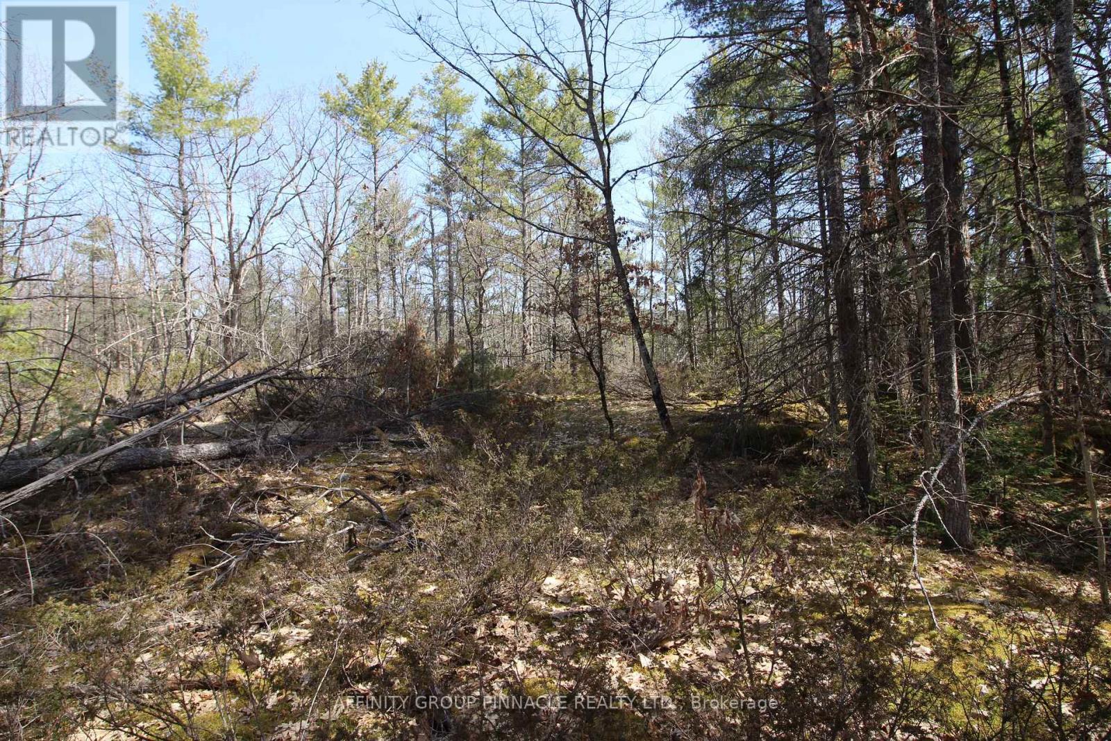 Lot 15 Concession 9, Trent Lakes, Ontario K0L 1J0 - Photo 2 - X12476268