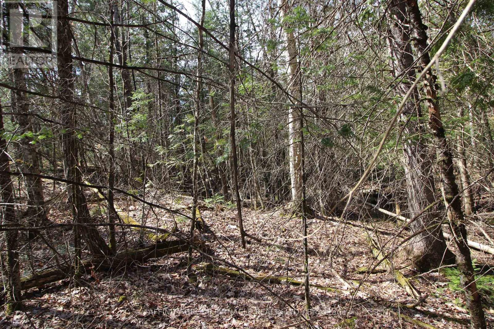 Lot 15 Concession 9, Trent Lakes, Ontario K0L 1J0 - Photo 3 - X12476268