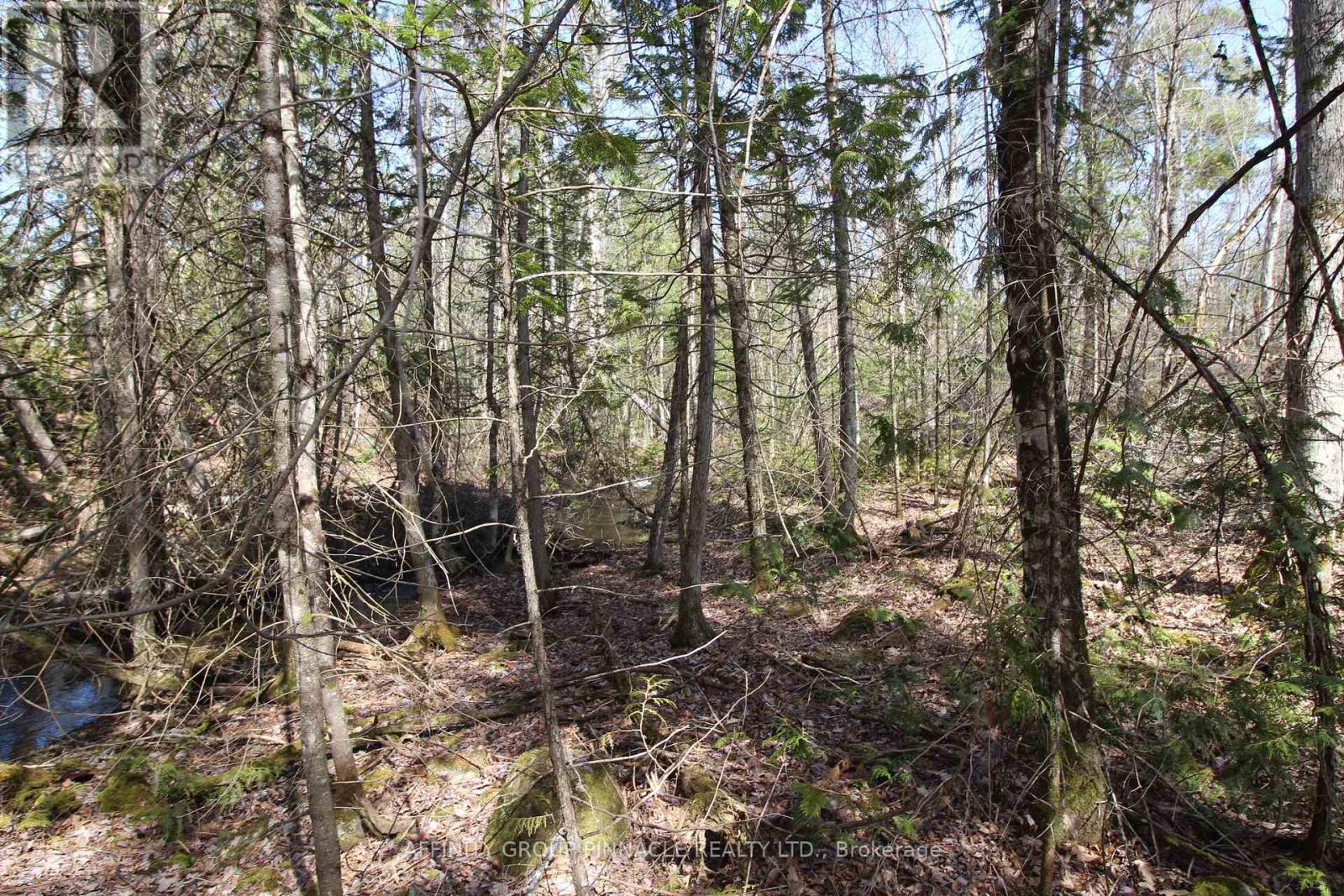 Lot 15 Concession 9, Trent Lakes, Ontario K0L 1J0 - Photo 4 - X12476268