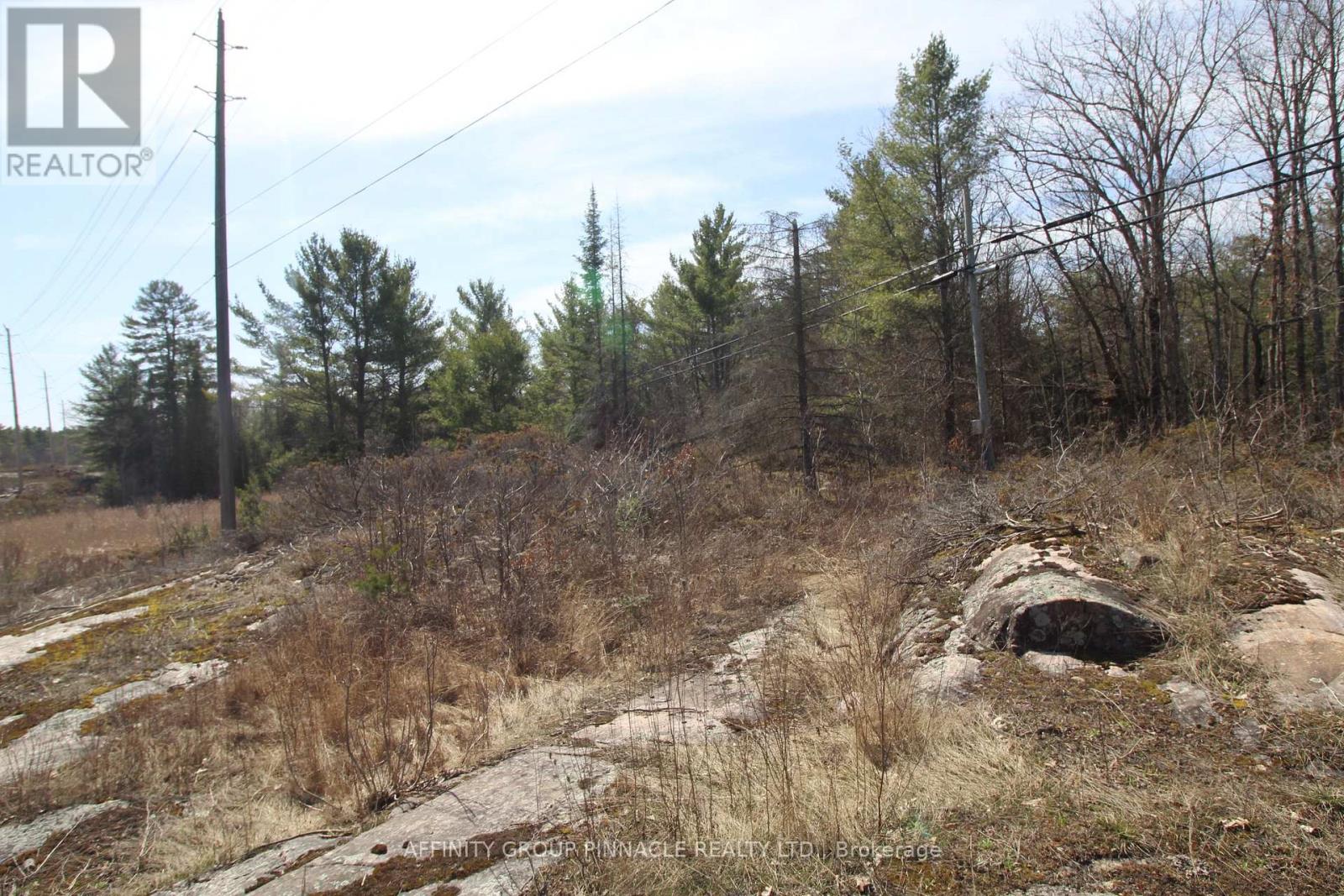 Lot 15 Concession 9, Trent Lakes, Ontario K0L 1J0 - Photo 8 - X12476268