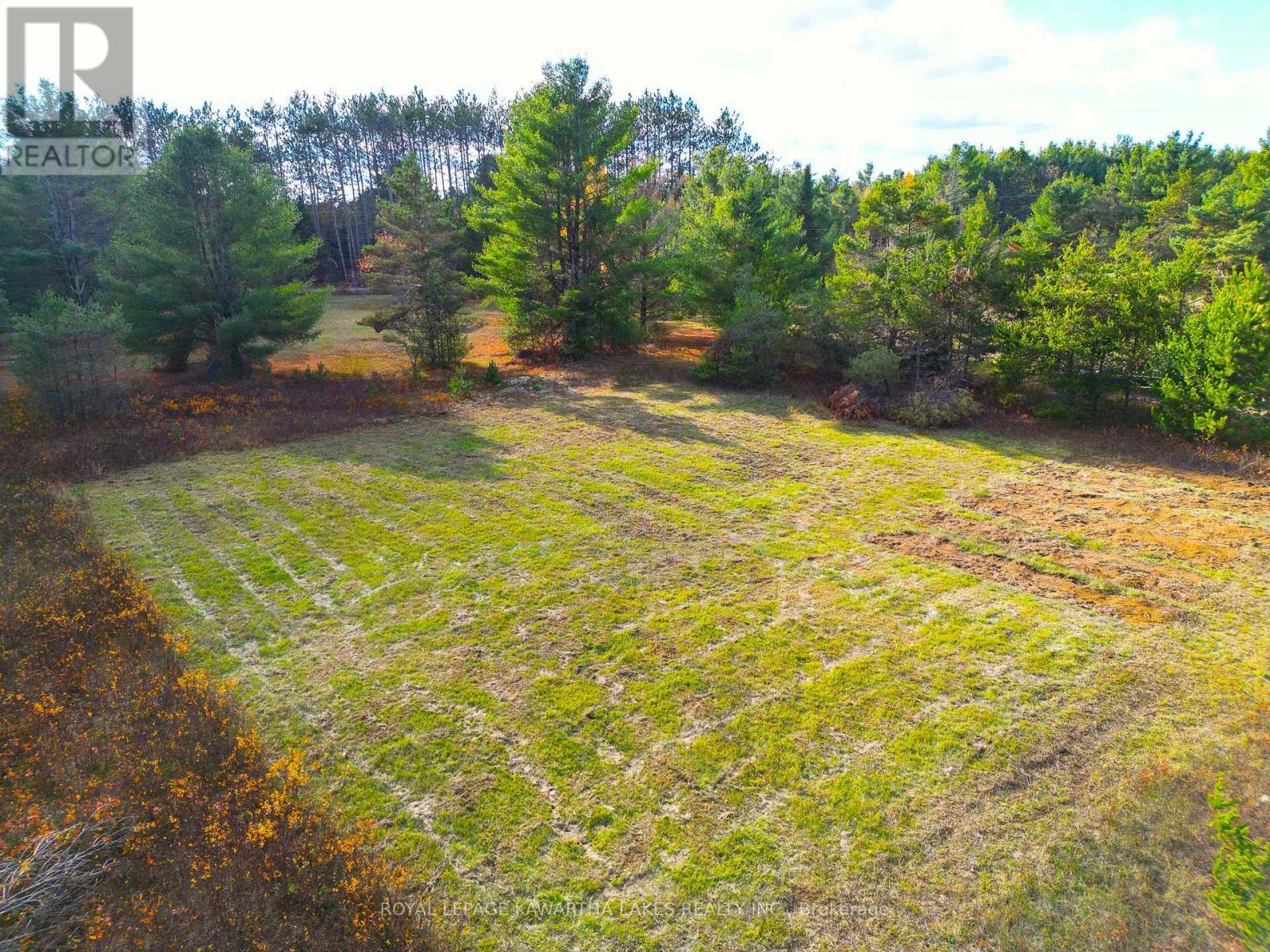 Lt 36 Hodgson Drive, Kawartha Lakes, Ontario  K0M 1C0 - Photo 6 - X12476297