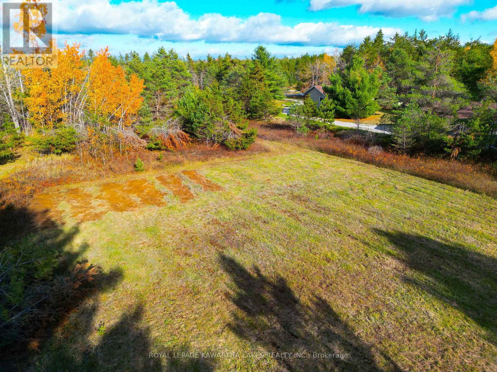 Lt 36 Hodgson Drive, Kawartha Lakes, Ontario  K0M 1C0 - Photo 8 - X12476297