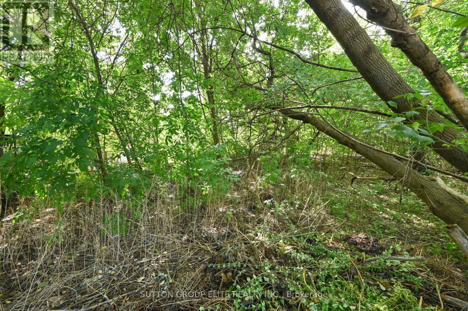 1238 Claredale Road, Mississauga (Mineola), Ontario  L5G 1T9 - Photo 15 - W12476036