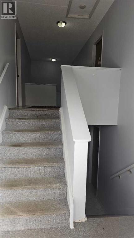 5017 Windsor Avenue, Coronation, Alberta  T0C 1C0 - Photo 11 - A2262222