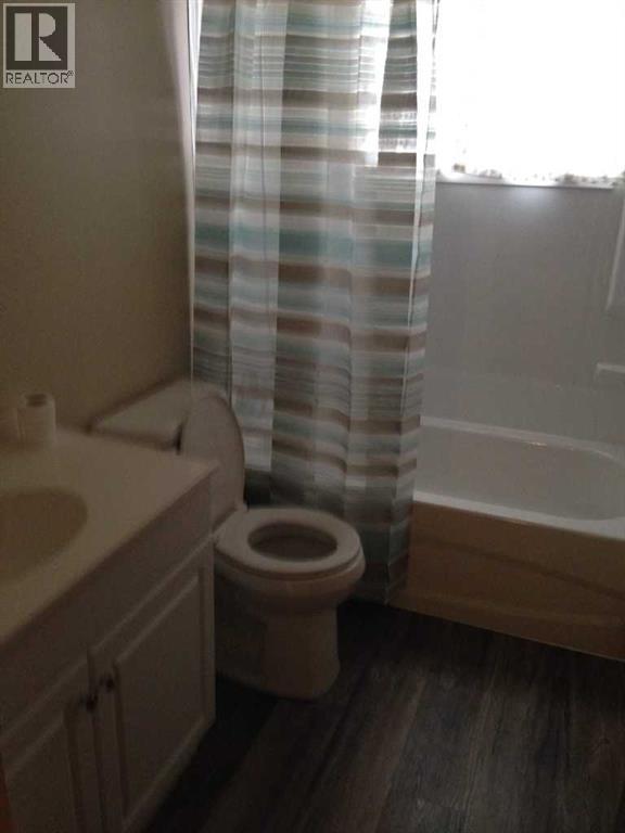 5017 Windsor Avenue, Coronation, Alberta  T0C 1C0 - Photo 19 - A2262222