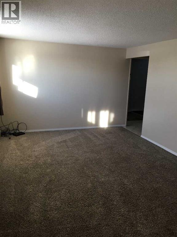 5017 Windsor Avenue, Coronation, Alberta  T0C 1C0 - Photo 28 - A2262222