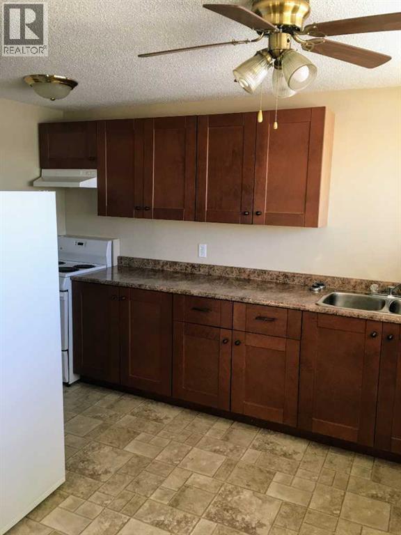 5017 Windsor Avenue, Coronation, Alberta  T0C 1C0 - Photo 25 - A2262222