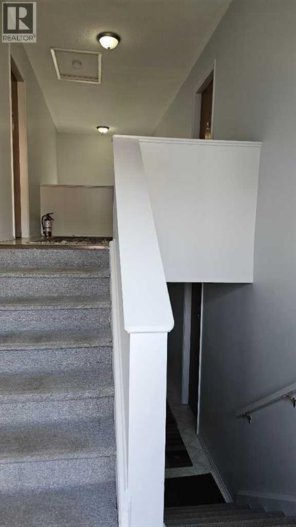 5017 Windsor Avenue, Coronation, Alberta  T0C 1C0 - Photo 9 - A2262222