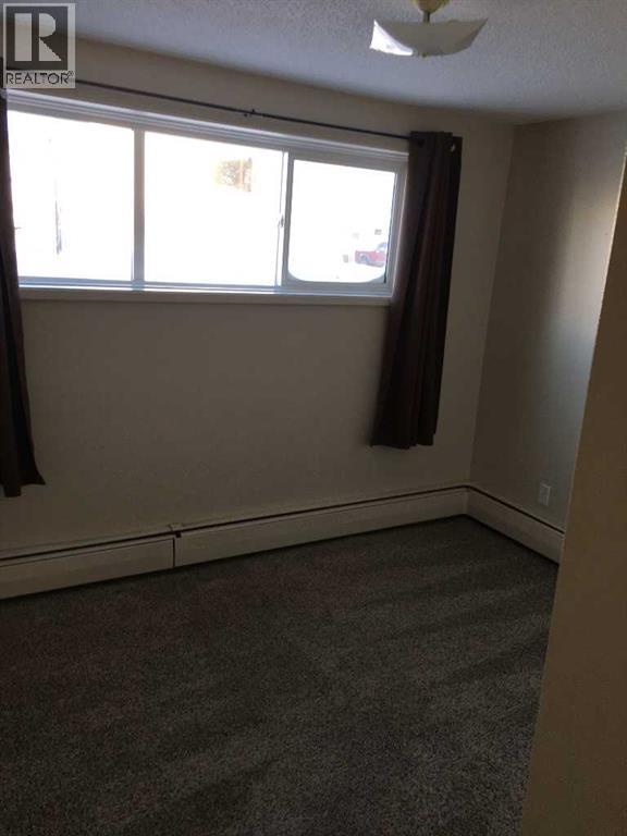 5017 Windsor Avenue, Coronation, Alberta  T0C 1C0 - Photo 26 - A2262222