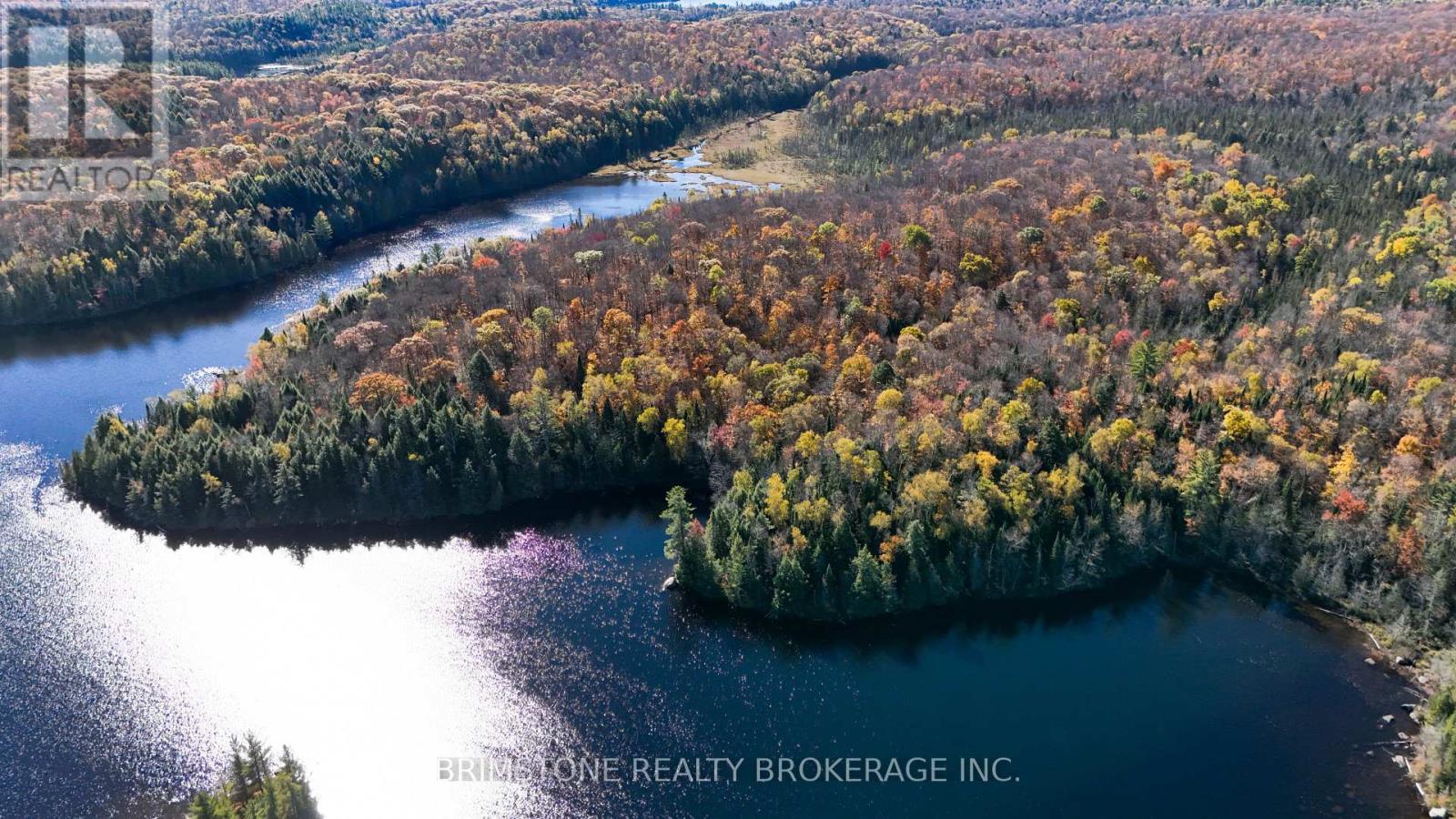 Row Over 1741 Paint Lake Rd Road, Lake Of Bays, Ontario  P0B 1A0 - Photo 3 - X12476149