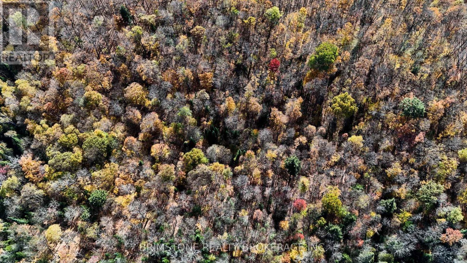 Row Over 1741 Paint Lake Rd Road, Lake Of Bays, Ontario  P0B 1A0 - Photo 5 - X12476149