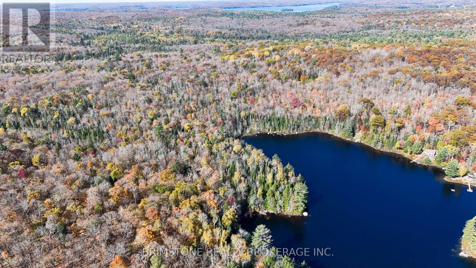 Row Over 1741 Paint Lake Rd Road, Lake Of Bays, Ontario  P0B 1A0 - Photo 8 - X12476149