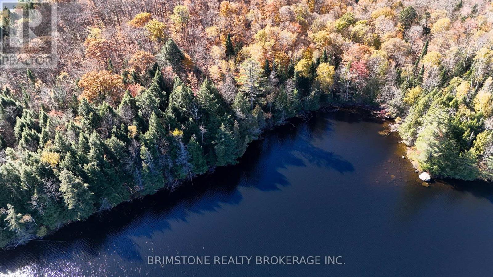 Row Over 1741 Paint Lake Rd Road, Lake Of Bays, Ontario  P0B 1A0 - Photo 9 - X12476149