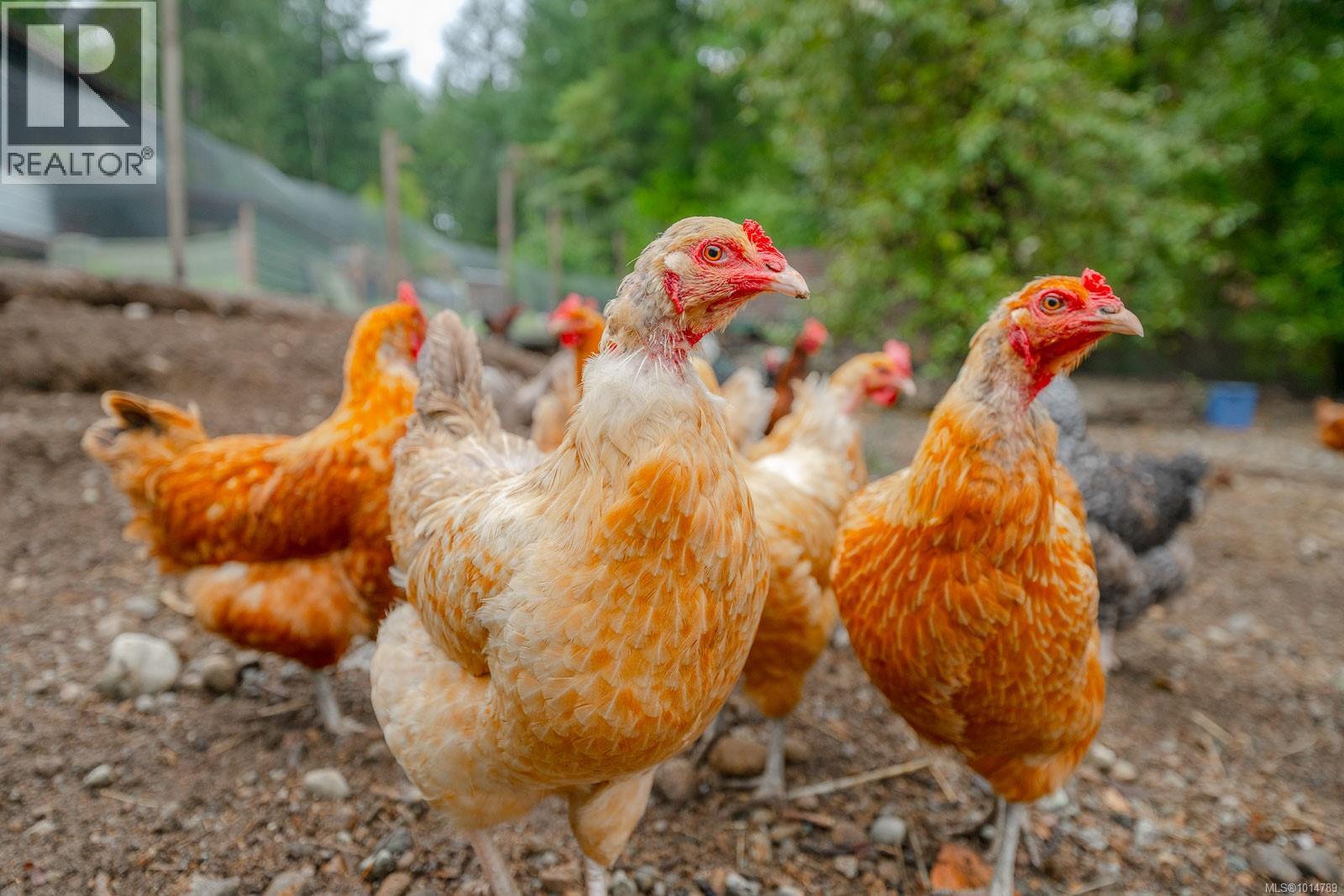 3585 Glenora Rd, Duncan, British Columbia  V9L 6S3 - Photo 43 - 1014789