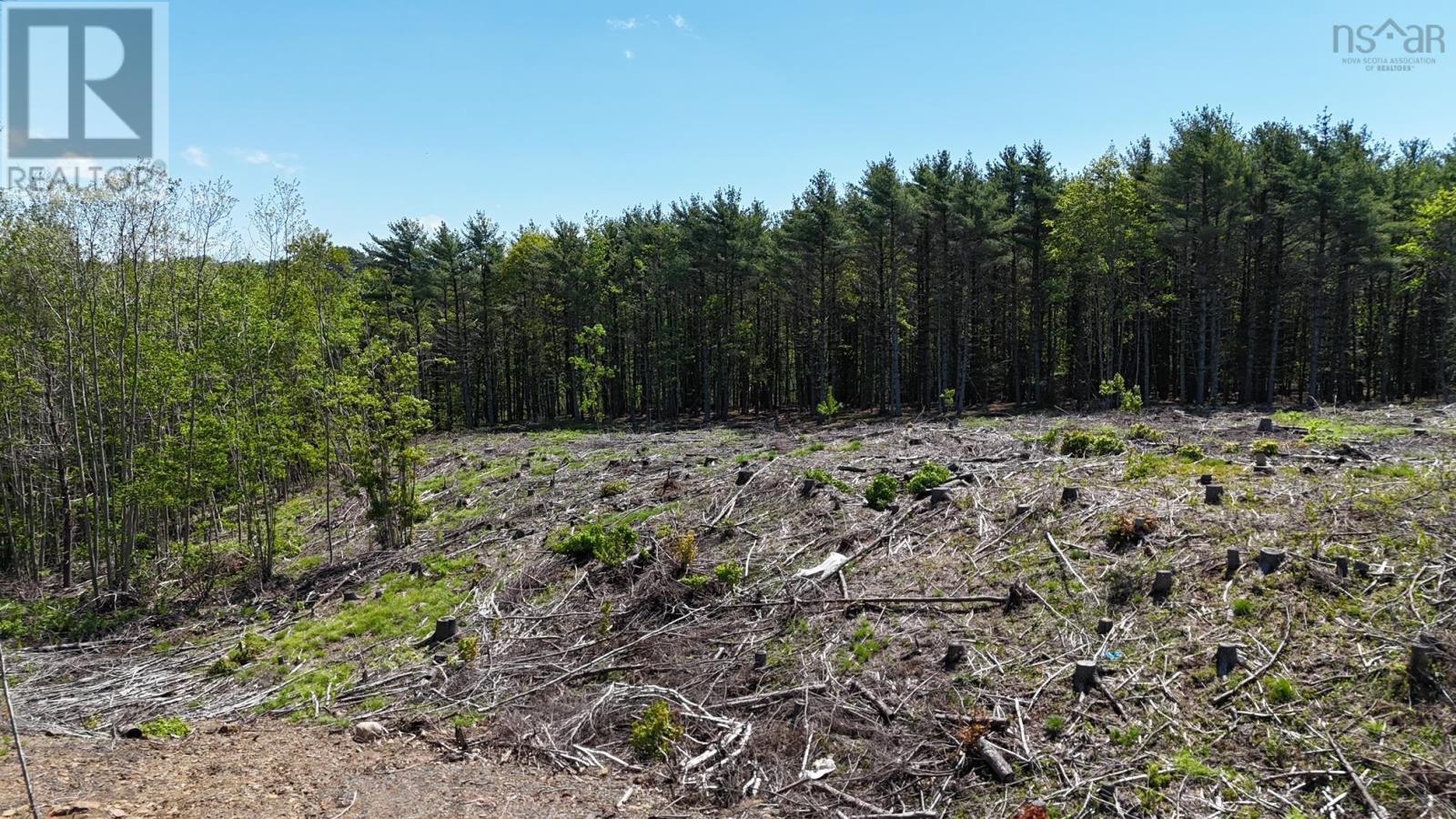 Lot Jg-1 Logan Road, Bridgewater, Nova Scotia  B4V 3J8 - Photo 9 - 202513035