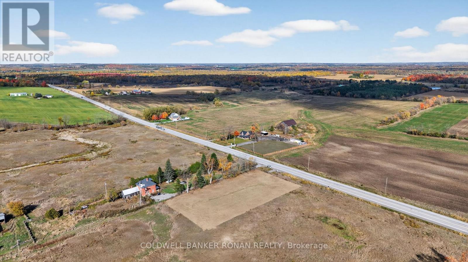 3142 County Rd 50, Adjala-Tosorontio, Ontario  L0G 1L0 - Photo 14 - N12476438