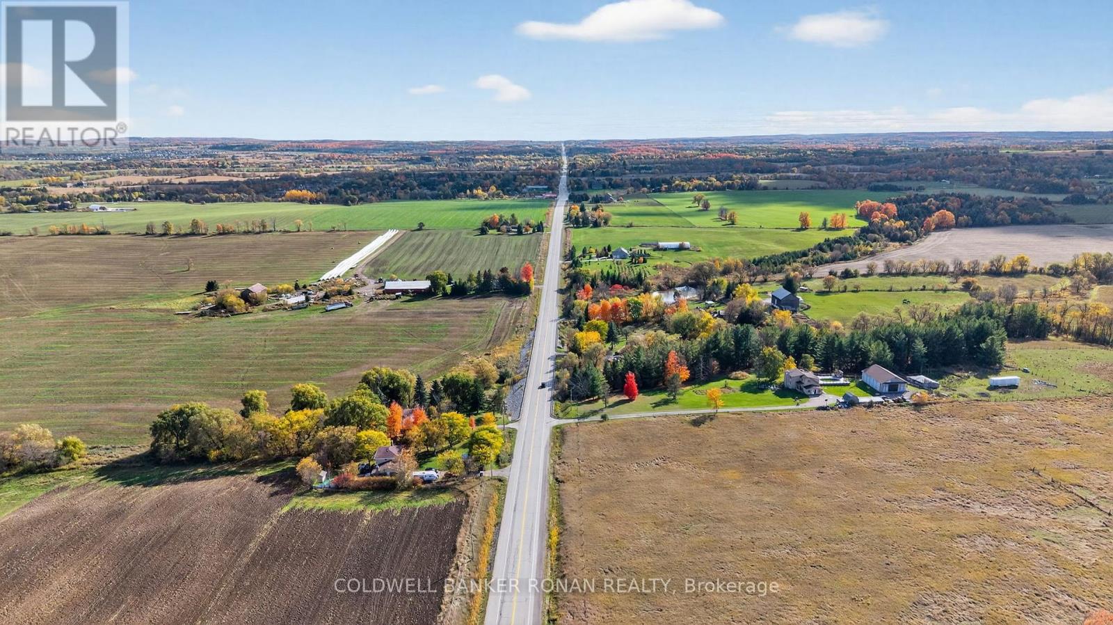 3142 County Rd 50, Adjala-Tosorontio, Ontario  L0G 1L0 - Photo 17 - N12476438