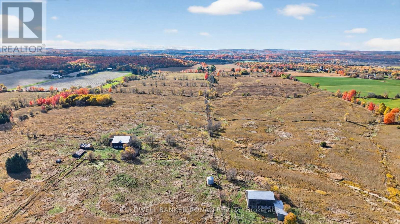 3142 County Rd 50, Adjala-Tosorontio, Ontario  L0G 1L0 - Photo 18 - N12476438